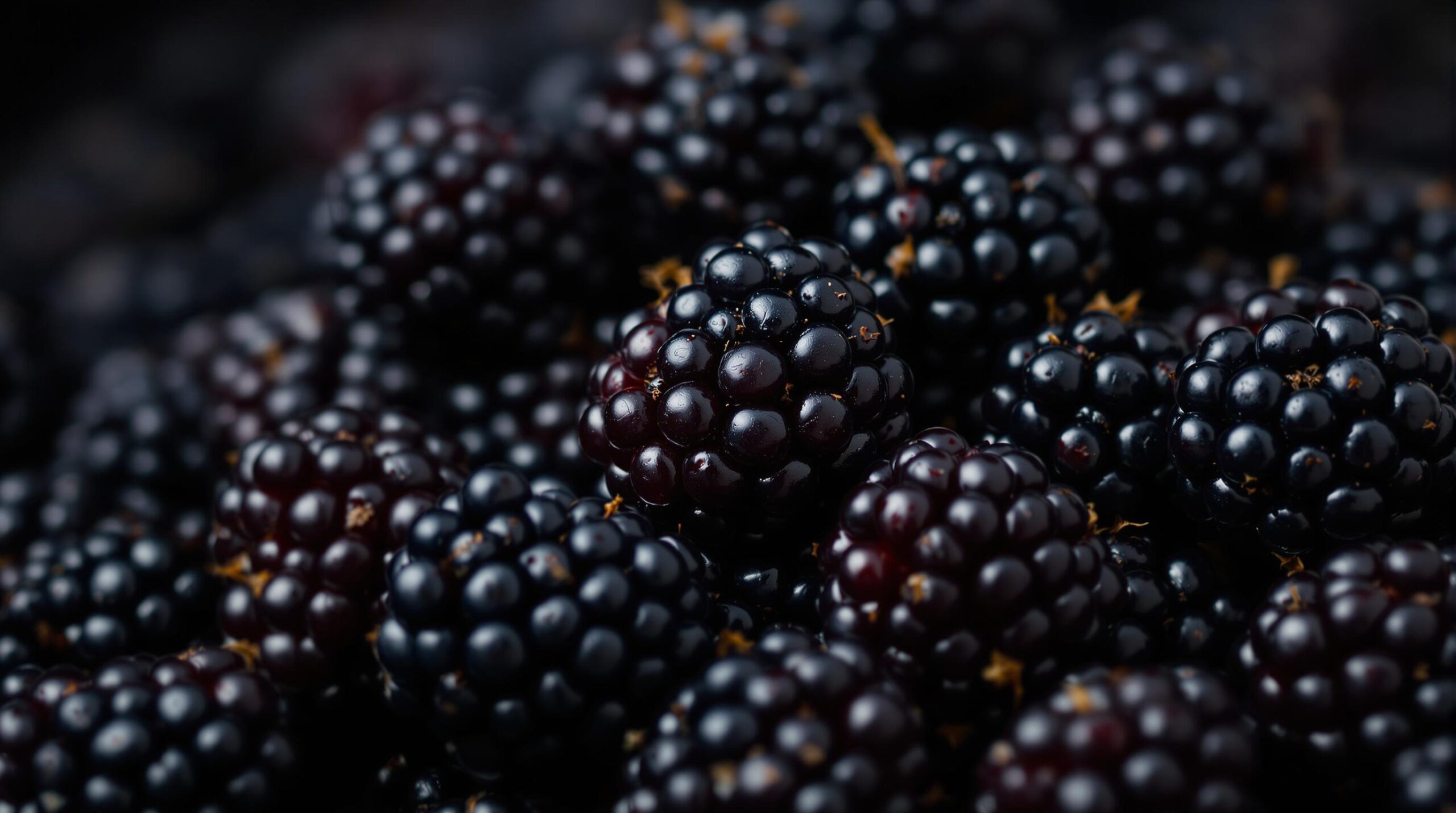 Close-up of fresh blackberries