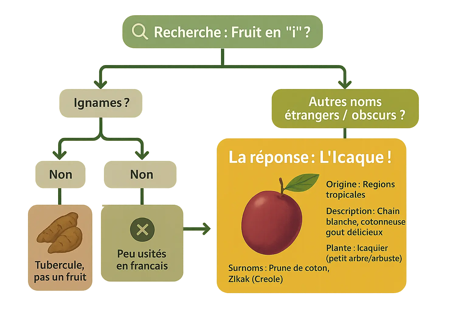 Icaque fruit sur une branche