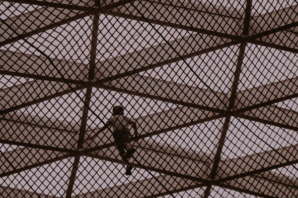 pose faux plafond wambrechies guide pour trouver un plaquiste 1